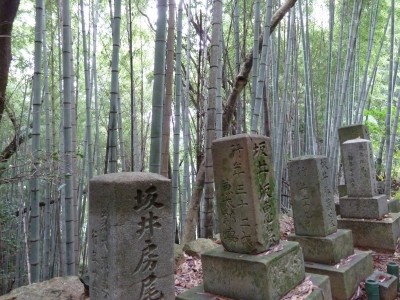 Dans un vieux cimetière de Shikoku (Japon 2010)