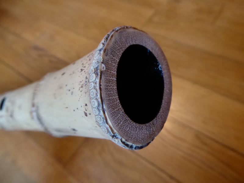 Ji-nashi-2.0-C-12-25-a5